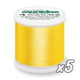 Fil à broder<br> Madeira Rayon n°40<br> 200m x5