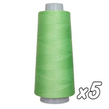 Fil pour surjeteuse<br> Gütermann Bulky-Lock n°160<br> 2000m x5