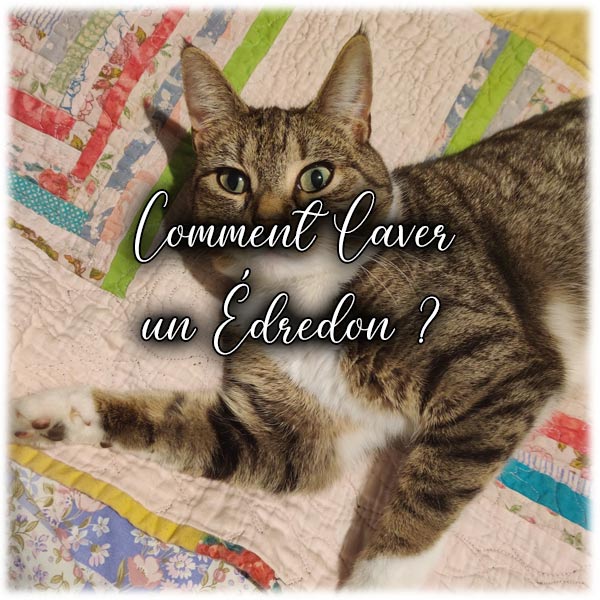 Comment Laver un Édredon ?