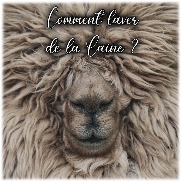 Comment laver de la Laine ?