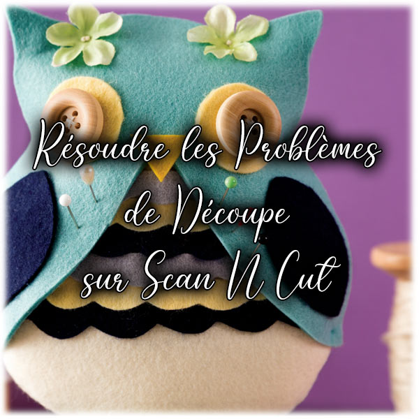 Problème de Découpe Scan N Cut