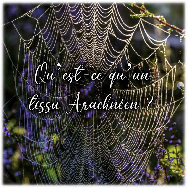 Qu’est-ce qu’un tissu Arachnéen ?