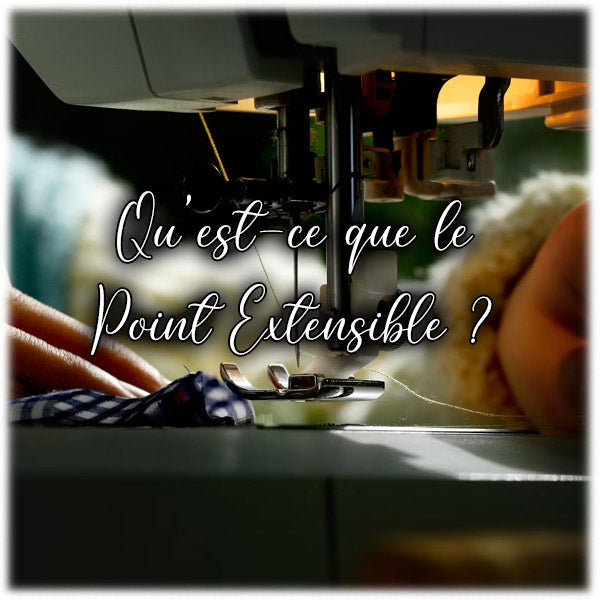 Qu'est-ce que le Point Extensible ?