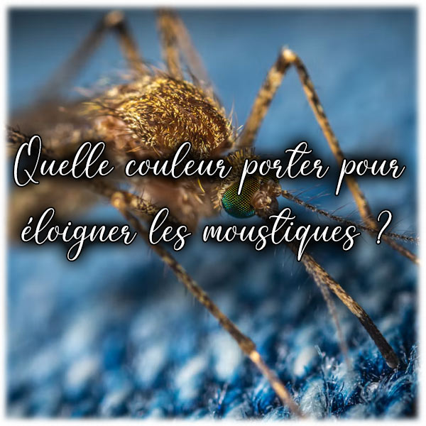 Quelle couleur porter pour éloigner les moustiques ?