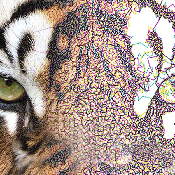 Brother BE EmbroideryStudio