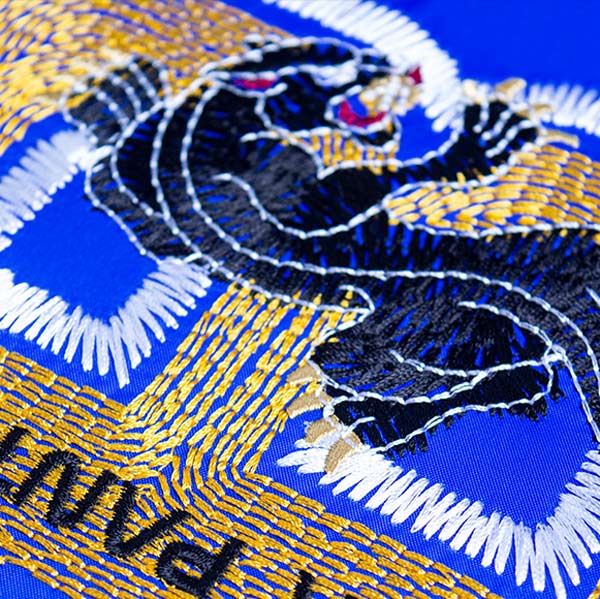 Brother BE EmbroideryStudio